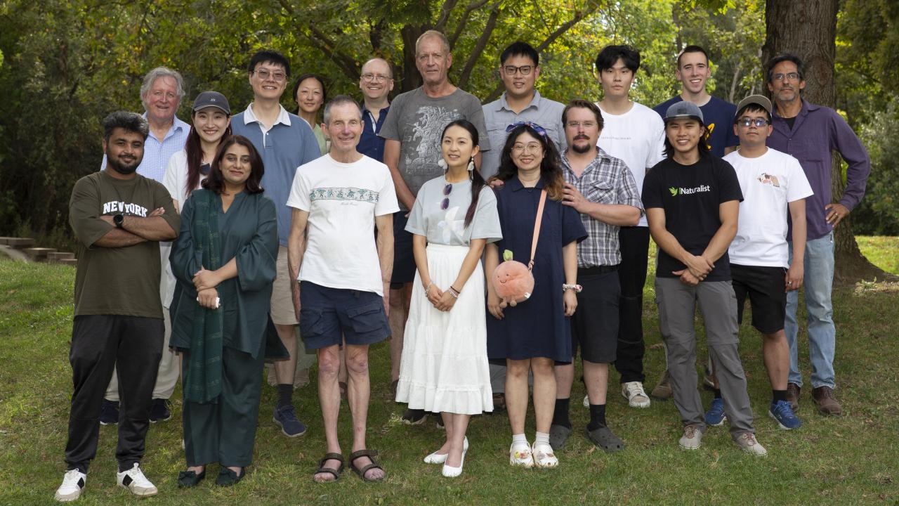 About 15 people standing on grass in a park, mixed ages and casual clothing